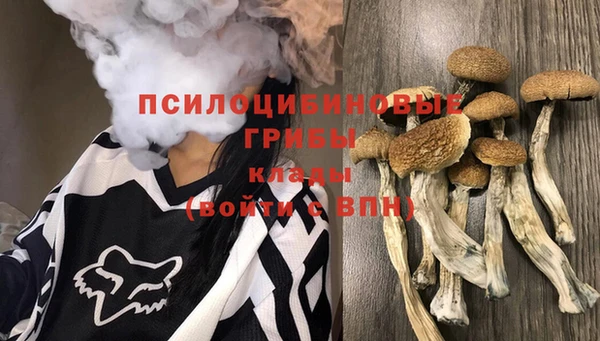 соль ск Алексин