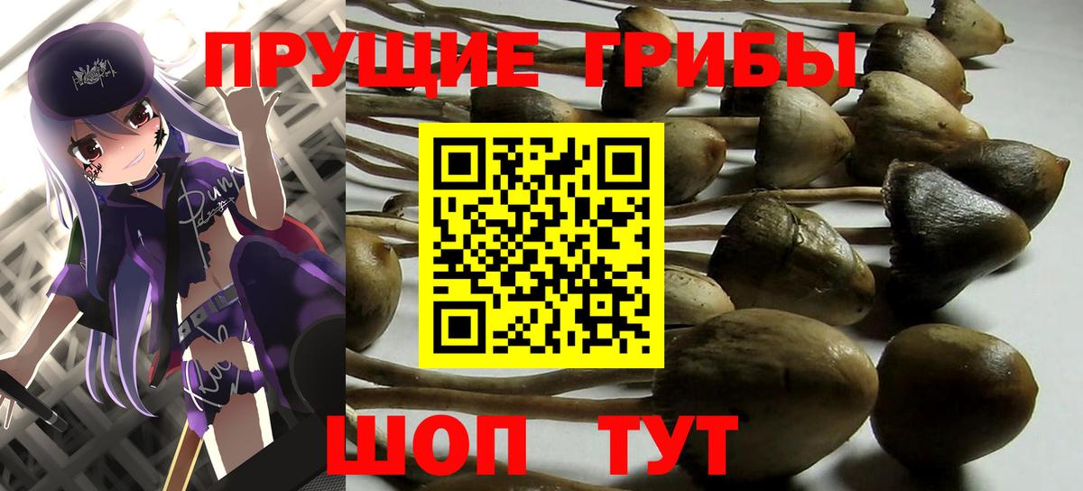 Псилоцибиновые грибы Magic Shrooms  Галлюциногенные грибы MAGIC MUSHROOMS  Вход с VPN  Урай 